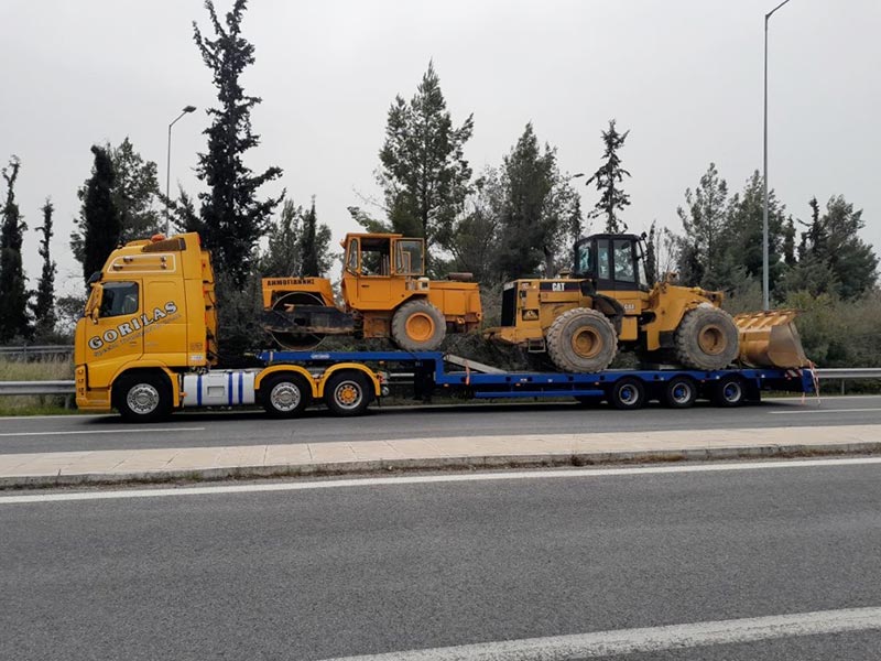 ΓΚΟΡΙΛΑΣ Δ. & Γ. & ΣΙΑ ΟΕ: Φωτογραφίες & Βίντεο