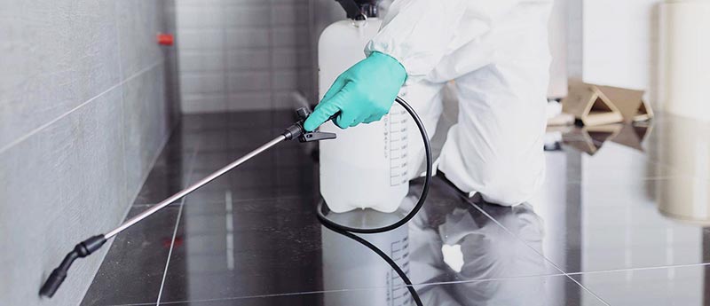 GLADIUS PESTCONTROL KAMMERJAEGER: Φωτογραφίες & Βίντεο