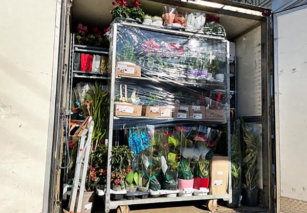 GM LOUGOS FLOWERS: Φωτογραφίες & Βίντεο