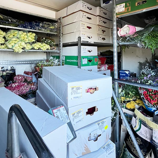 GM LOUGOS FLOWERS: Φωτογραφίες & Βίντεο