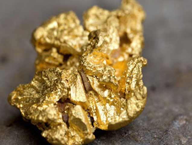 GOLD POINT - ANOIXI: Φωτογραφίες & Βίντεο