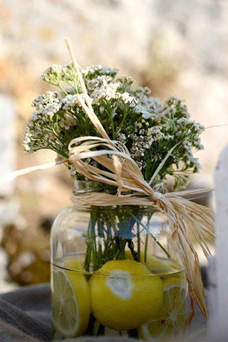 ΓΟΥΡΙΩΤΗ FLOWERS: Φωτογραφίες & Βίντεο