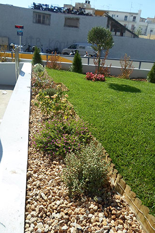 GRAMMATOS GARDENS: Φωτογραφίες & Βίντεο