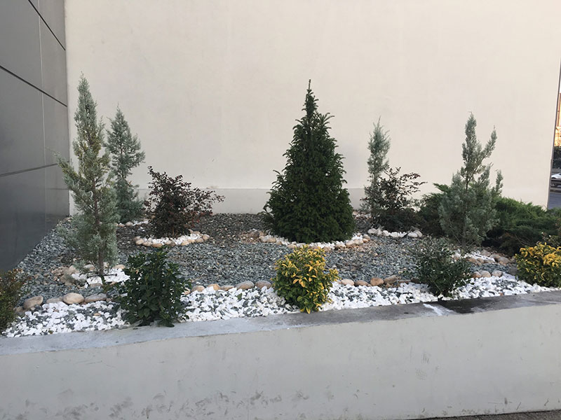 GRAMMATOS GARDENS: Φωτογραφίες & Βίντεο