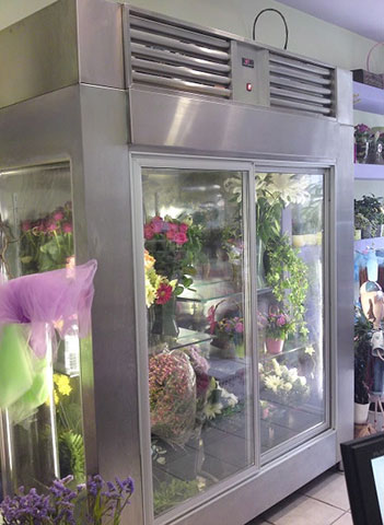 GRAND INOX - ΔΕΛΗΓΙΑΝΝΗΣ ΑΛΕΞΑΝΔΡΟΣ: Φωτογραφίες & Βίντεο