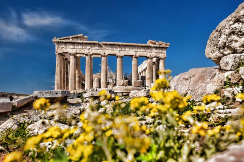 GRAND STAR HELLENIC LTD: Φωτογραφίες & Βίντεο