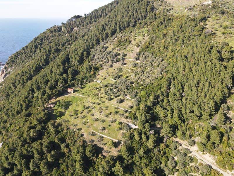 Οικογενειακό ακίνητο 38.000 τ.μ., στην περιοχή Καΐκια της Γλώσσας της Σκοπέλου προς πώληση