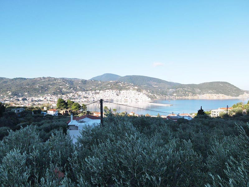 Πώληση εξαιρετικού ακινήτου έξω από την πόλη της Σκοπέλου, με υπέροχη θέα στη θάλασσα