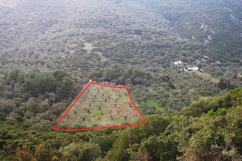 Οικόπεδο στην περιοχή Γλυστέρι Σκοπέλου προς πώληση