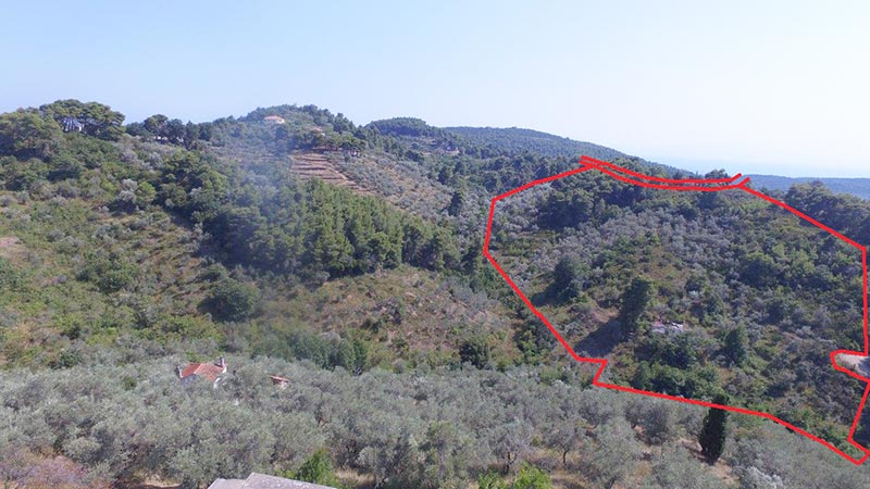 Πώληση οικοπέδου συνολικής επιφάνειας 30.000 τ.μ. στο Βρωμονέρι Πευκίας