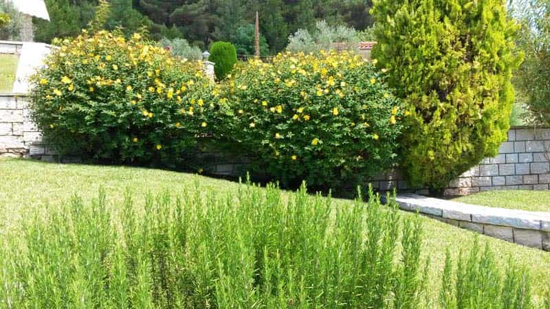 GREENTECH B.M. - ΜΑΚΡΗΣ ΒΑΣΙΛΕΙΟΣ: Φωτογραφίες & Βίντεο