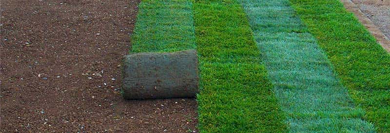GREENTECH B.M. - ΜΑΚΡΗΣ ΒΑΣΙΛΕΙΟΣ: Φωτογραφίες & Βίντεο