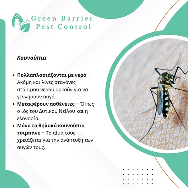 GREEN BARRIER: Φωτογραφίες & Βίντεο