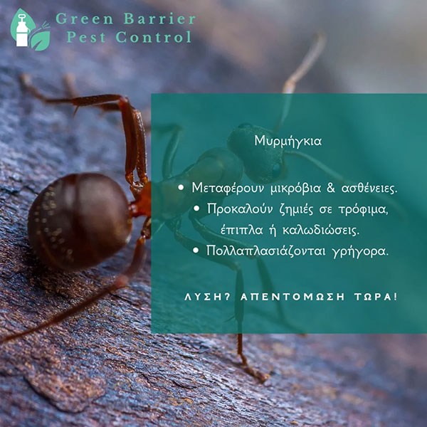 GREEN BARRIER: Φωτογραφίες & Βίντεο