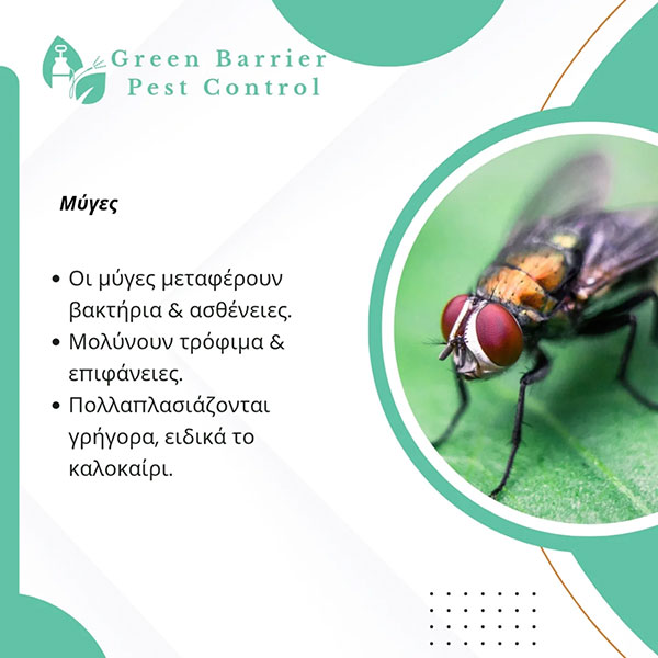 GREEN BARRIER: Φωτογραφίες & Βίντεο