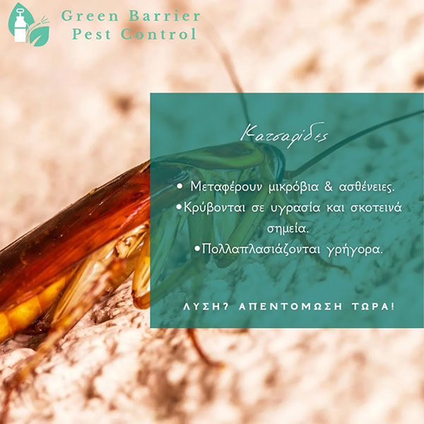 GREEN BARRIER: Φωτογραφίες & Βίντεο