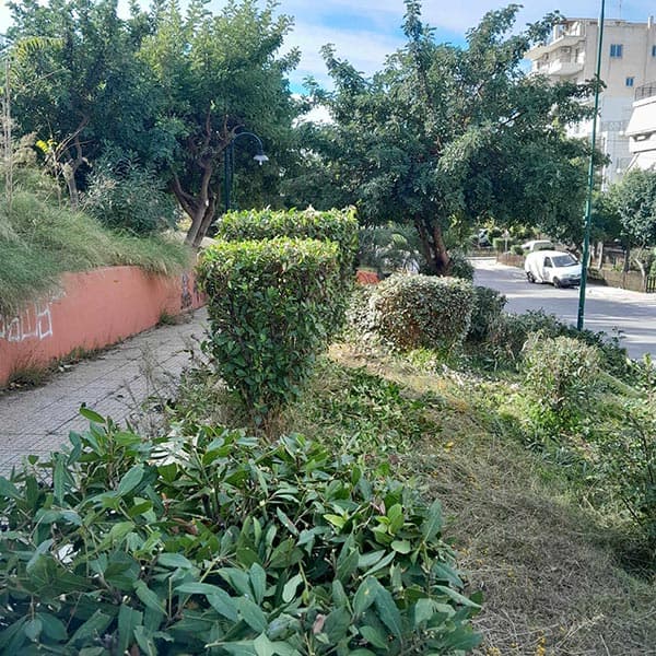 GREEN CLEANER EE: Φωτογραφίες & Βίντεο