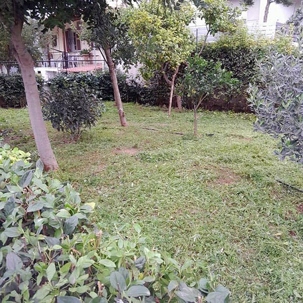 GREEN CLEANER EE: Φωτογραφίες & Βίντεο