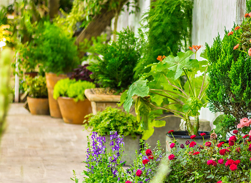 GREEN CLEANING ATTICA: Φωτογραφίες & Βίντεο
