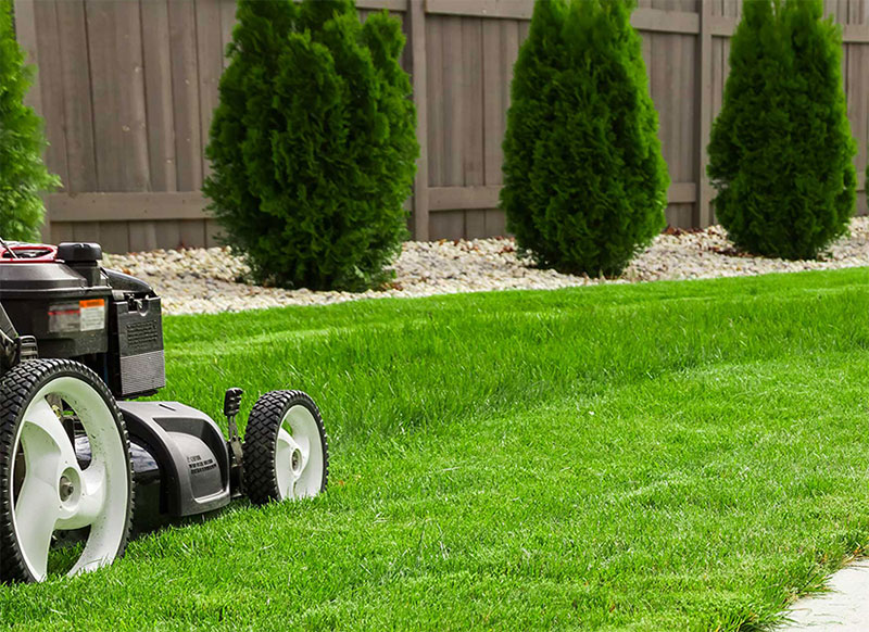GREEN CLEANING ATTICA: Φωτογραφίες & Βίντεο