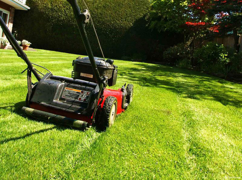 GREEN CLEANING ATTICA: Φωτογραφίες & Βίντεο
