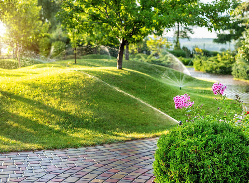 GREEN CLEANING ATTICA: Φωτογραφίες & Βίντεο