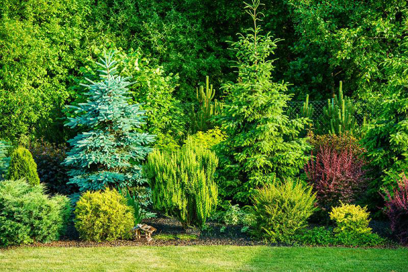 GREEN CLEANING ATTICA: Φωτογραφίες & Βίντεο