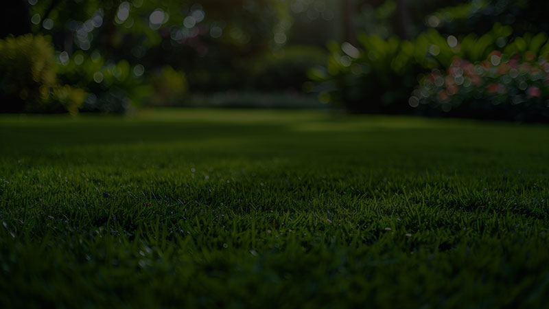 GREEN CLEANING ATTICA: Φωτογραφίες & Βίντεο