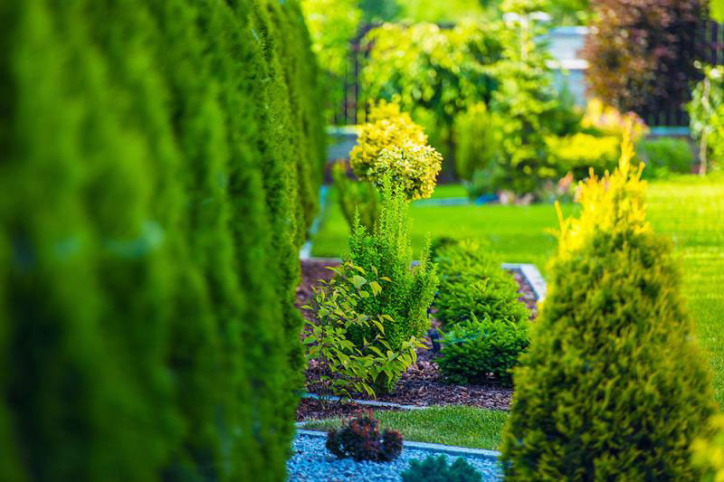 GREEN CLEANING ATTICA: Φωτογραφίες & Βίντεο