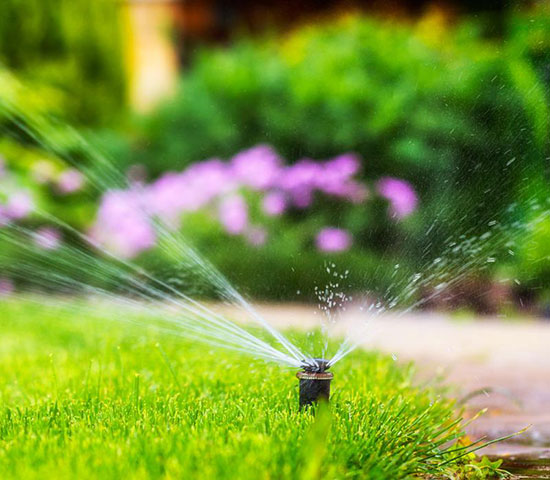 GREEN CLEANING ATTICA: Φωτογραφίες & Βίντεο
