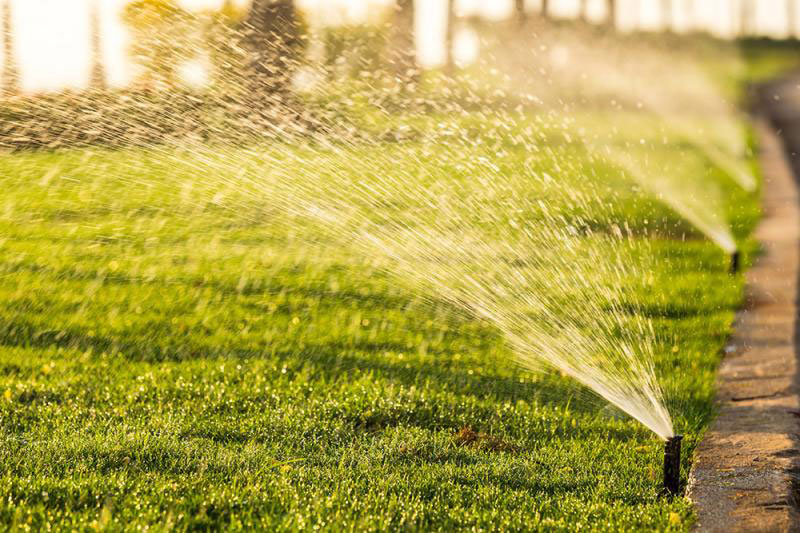 GREEN CLEANING ATTICA: Φωτογραφίες & Βίντεο