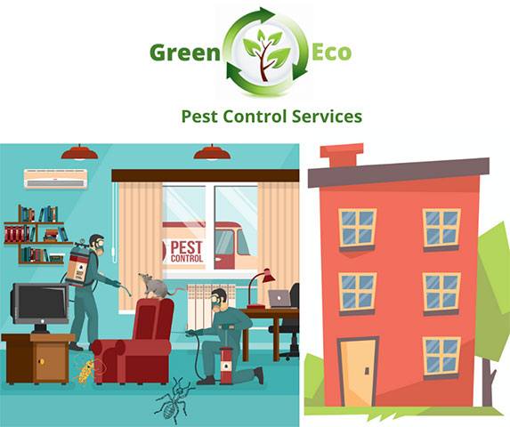 GREEN ECO: Φωτογραφίες & Βίντεο