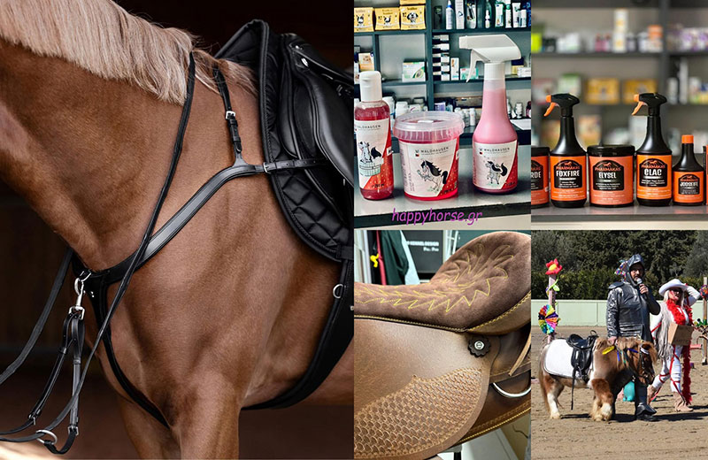 HAPPY HORSE: Φωτογραφίες & Βίντεο
