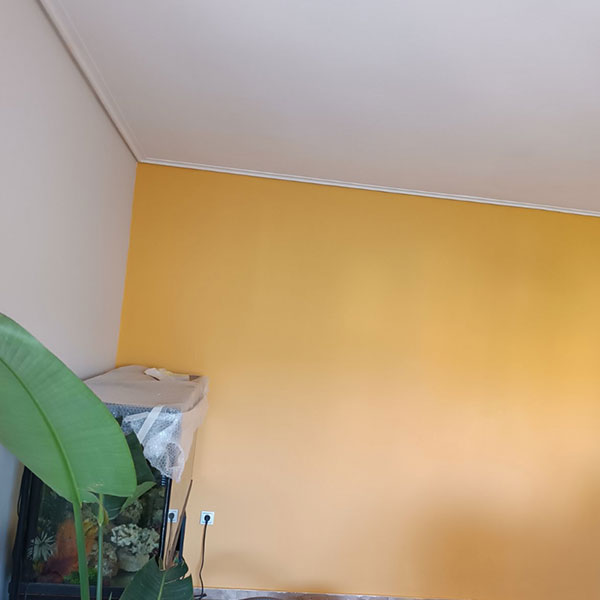 HASA HOME PAINTING: Φωτογραφίες & Βίντεο
