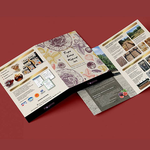 HELLENIC GRAPHIC ARTS (HGA): Φωτογραφίες & Βίντεο