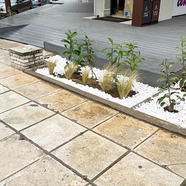 HOLIVE GARDENING: Φωτογραφίες & Βίντεο