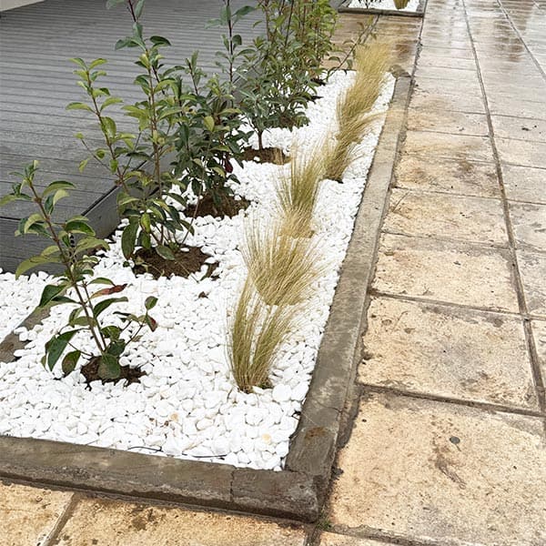 HOLIVE GARDENING: Φωτογραφίες & Βίντεο