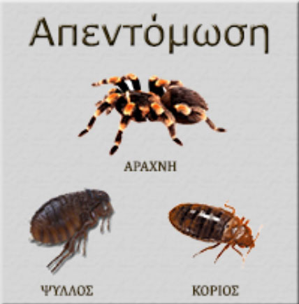HUNTERS: Φωτογραφίες & Βίντεο