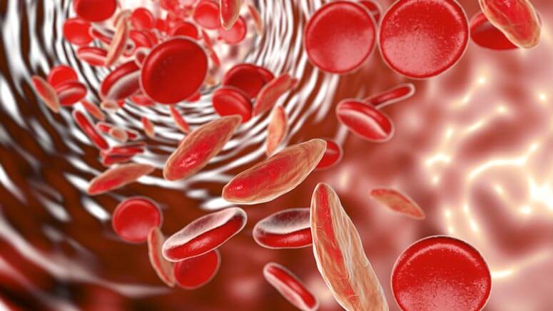 Anemia control