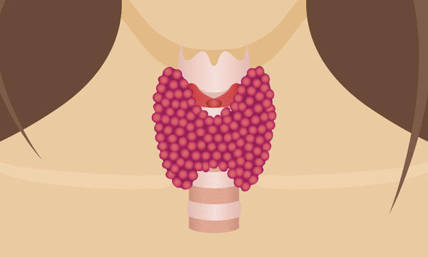 Examinations of the thyroid gland