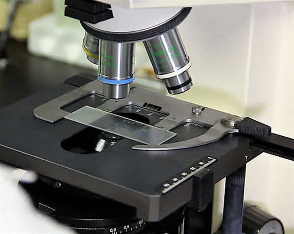 IATRODIAGNOSI: Φωτογραφίες & Βίντεο