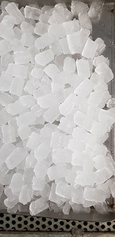 ICE KOS: Φωτογραφίες & Βίντεο