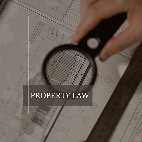 IGNATENKO ANNA & ASSOCIATES: Φωτογραφίες & Βίντεο
