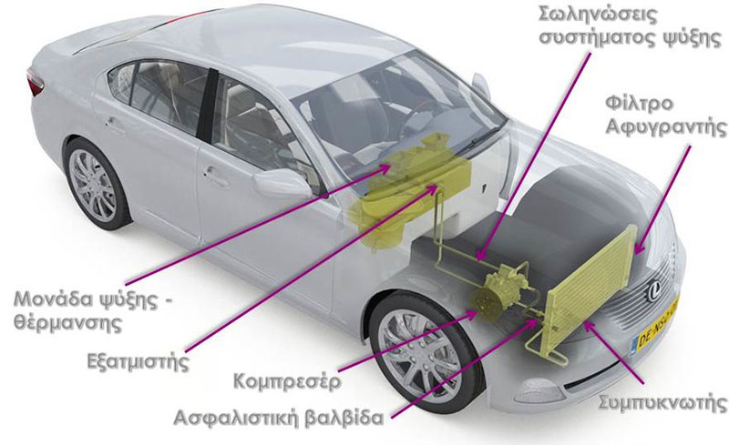 ILEP AE: Φωτογραφίες & Βίντεο