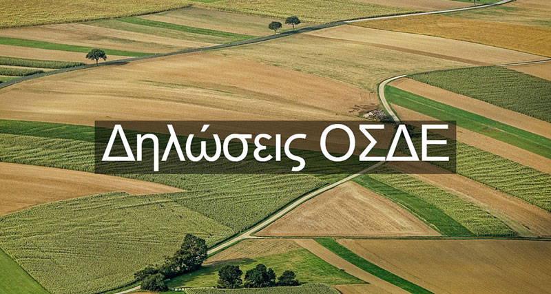 Δηλώσεις ΟΣΔΕ