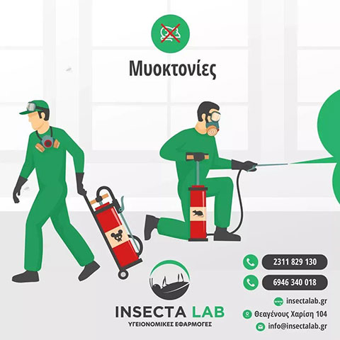 INSECTA LAB: Φωτογραφίες & Βίντεο