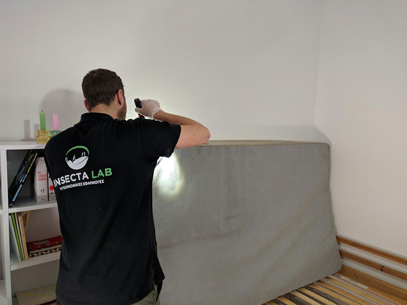 INSECTA LAB: Φωτογραφίες & Βίντεο