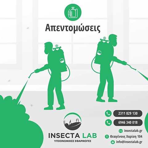 INSECTA LAB: Φωτογραφίες & Βίντεο