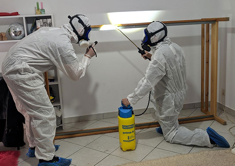 INSECTA LAB: Φωτογραφίες & Βίντεο