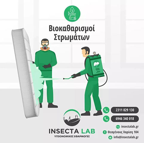 INSECTA LAB: Φωτογραφίες & Βίντεο